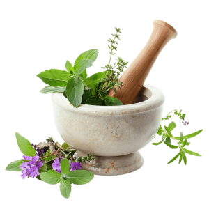 عبداله وثیقی