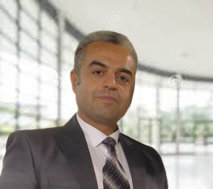 حامد محبی