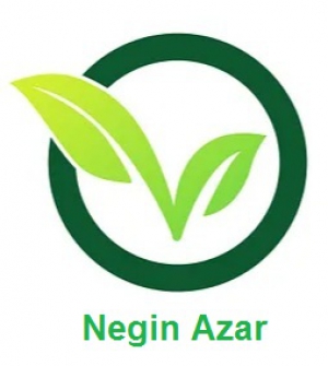بازرگانی نگین آذر