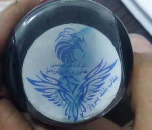 عقاب نگهبان