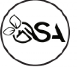 مهندسین مجری