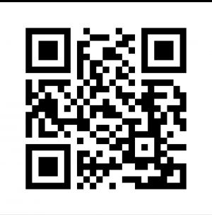  جواد امجدیان 