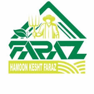 شرکت هامون کشت فراز 