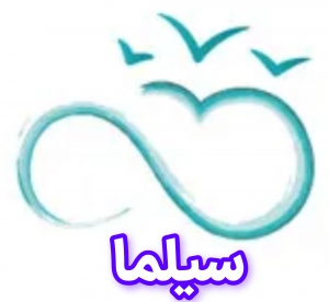 گروه سیلما 