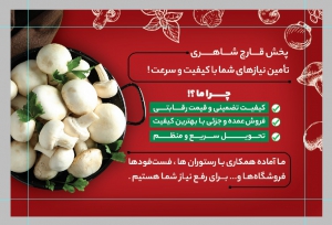 پخش قارچ روزانه