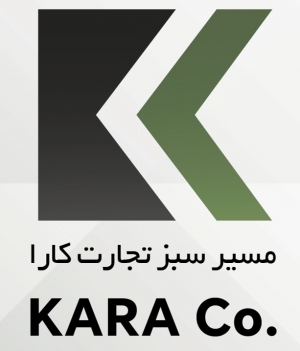 نیما کریمی رییس هیات مدیره و مدیرعامل شرکت مسیر سبز تجارت کارا