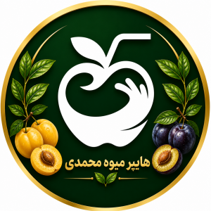 هایپر میوه محمدی