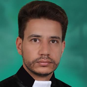 وکیل و مشاور حقوقی 