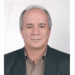 حسین ثنایی