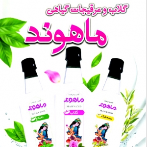 گلاب و عرقیجات