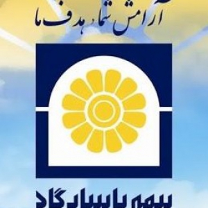 نماینده بیمه پاسارگارد/ شیما عبدالعلی زاده